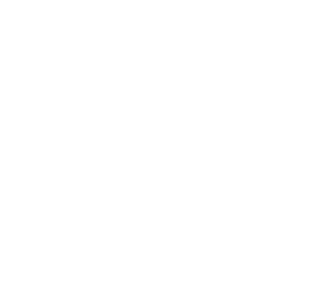 Brilliant Career & New Life with PEO